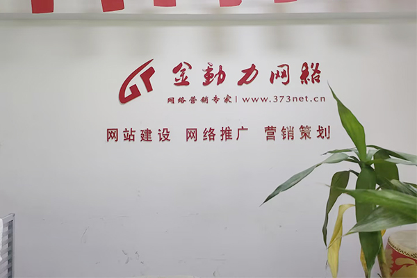 河南金動(dòng)力網(wǎng)絡(luò)推廣公司2025年比較好多網(wǎng)絡(luò)推廣方式有哪些？